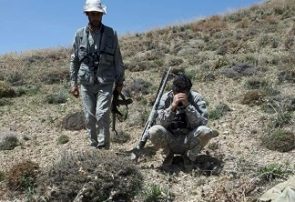 شکارچیان غیر مجاز در نیشابور به دام افتادند شکارچیان غیر مجاز در نیشابور به دام افتادند