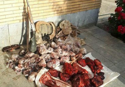 دستگيري شكارچي غير مجاز قوچ وحشي توسط محيط بانان دستگیری شکارچی غیر مجاز قوچ وحشی توسط محیط بانان