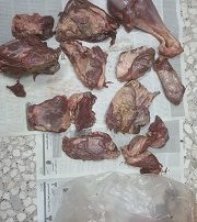 شكارچي غير مجاز قوچ وحشي در نیشابور دستگیر شد شکارچی غیر مجاز قوچ وحشی در نیشابور دستگیر شد