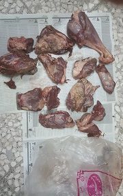 شكارچي غير مجاز قوچ وحشي در نیشابور دستگیر شد شکارچی غیر مجاز قوچ وحشی در نیشابور دستگیر شد