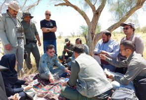 درآمد حاصل از صدور مجوز شکار در نیشابور هنوز واریز نشده است درآمد حاصل از صدور مجوز شکار در نیشابور هنوز واریز نشده است