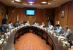 تعداد پمپ هایگاز نیشابور از استاندارد کشور پایین تر است تعداد پمپ هایگاز نیشابور از استاندارد کشور پایین تر است