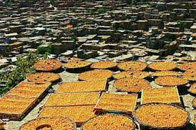 آلوی «خرو» در راه بورس آلوی «خرو» در راه بورس