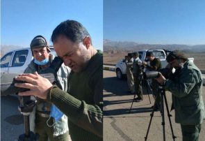 غازهای خاکستری ؛ میهمان نیشابوری ها غازهای خاکستری ؛ میهمان نیشابوری ها