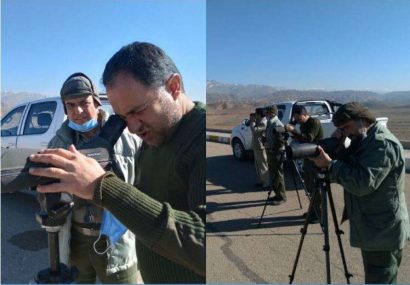 غازهای خاکستری ؛ میهمان نیشابوری ها غازهای خاکستری ؛ میهمان نیشابوری ها