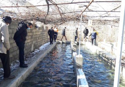 نیشابور یکی از سه شهرستان برتر خراسان رضوی در حوزه آبزی پروری نیشابور یکی از سه شهرستان برتر خراسان رضوی در حوزه آبزی پروری