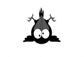 کلاغ نیوز کلاغ نیوز