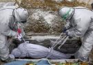 رتبه سوم جهانی نیشابور در آمار فوت شدگان کرونا