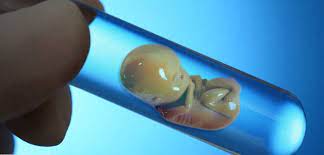 سهم کودک حاصل از لقاح مصنوعی از ارث چیست؟ سهم کودک حاصل از لقاح مصنوعی از ارث چیست؟