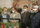 مرکز آموزش و خلاقیت نهال افتتاح شد