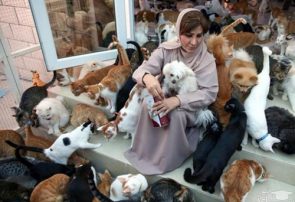 وقتی حیوان خانگی جای بچه‌ را می‌گیرد