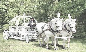 سندرم سیندرلا در کمین دختران جوان سندرم سیندرلا در کمین دختران جوان