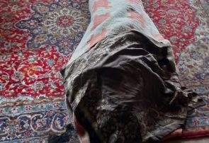 آتش سوزی در باغشن گچ زنی ۶۰ساله را به کام مرگ کشید آتش سوزی در باغشن گچ زنی ۶۰ساله را به کام مرگ کشید