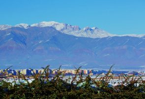 تکاپوهایِ شاهانه در خاکِ نیشابور تکاپوهایِ شاهانه در خاکِ نیشابور