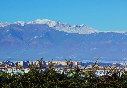 تکاپوهایِ شاهانه در خاکِ نیشابور تکاپوهایِ شاهانه در خاکِ نیشابور