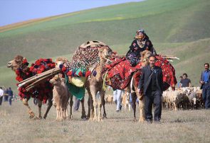 ۵ درصد عشایر خراسان رضوی در نیشابور بزرگ سکونت دارند ۵ درصد عشایر خراسان رضوی در نیشابور بزرگ سکونت دارند