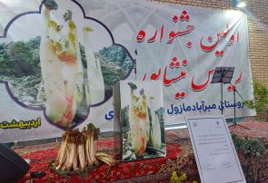 برگزاری نخستین جشنواره ریواس در روستای میرآباد نیشابور برگزاری نخستین جشنواره ریواس در روستای میرآباد نیشابور