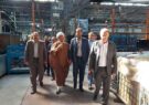 مشکلات ۲۵۰واحد تولیدی در استان حل شد