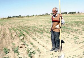 گسترش ویلاهای لاکچری به قیمت نابودی کشاورزی نیشابور گسترش ویلاهای لاکچری به قیمت نابودی کشاورزی نیشابور