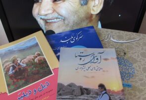 بازتاب زادبوم در شعر گویشی بازتاب زادبوم در شعر گویشی