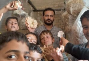 اجرای طرح نوغانداران کوچک در زبرخان اجرای طرح نوغانداران کوچک در زبرخان