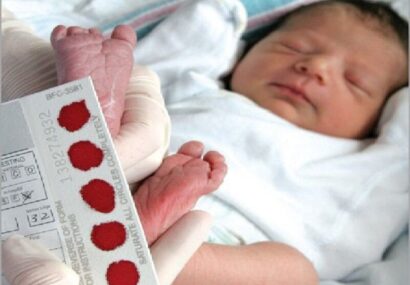 نجات مغزهای کوچک نجات مغزهای کوچک