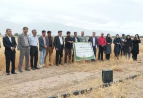 باز شدن درهای علم بر زمین تشنه کشاورزی باز شدن درهای علم بر زمین تشنه کشاورزی