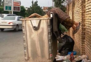 فقر احمق میکند فقر احمق میکند