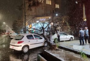 اولین برف پاییزی  نیشابور را زمین‌گیر کرد