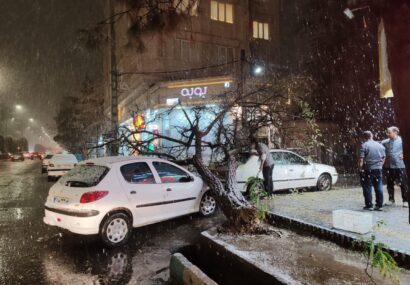 اولین برف پاییزی  نیشابور را زمین‌گیر کرد